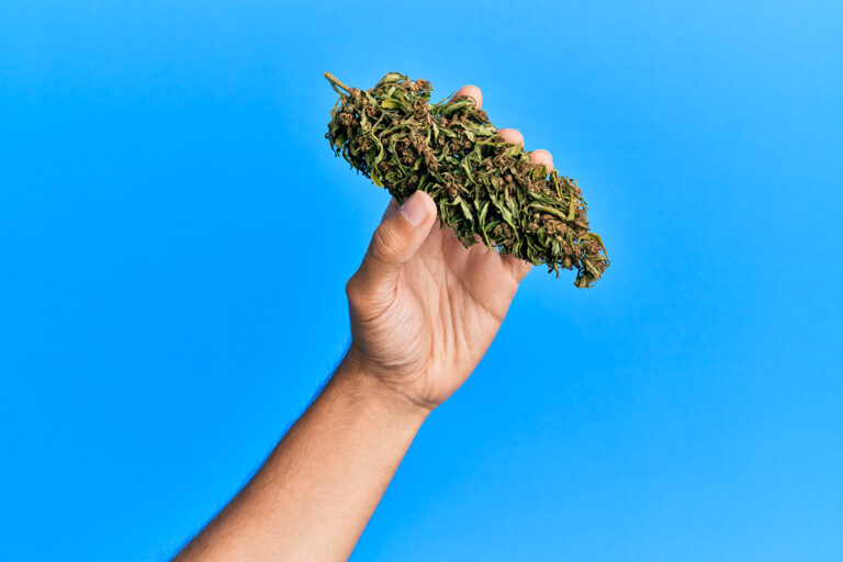 Northern Lights Strain IndoGrow