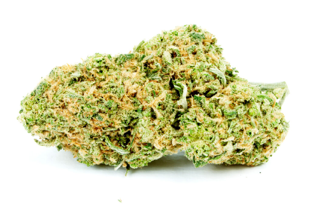 Skywalker OG Strain IndoGrow