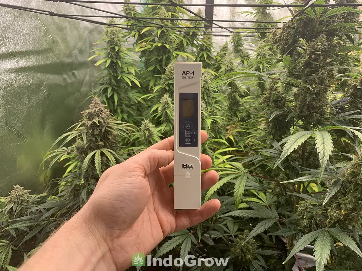 TDS Meter to Measure EC and PPM for Weed